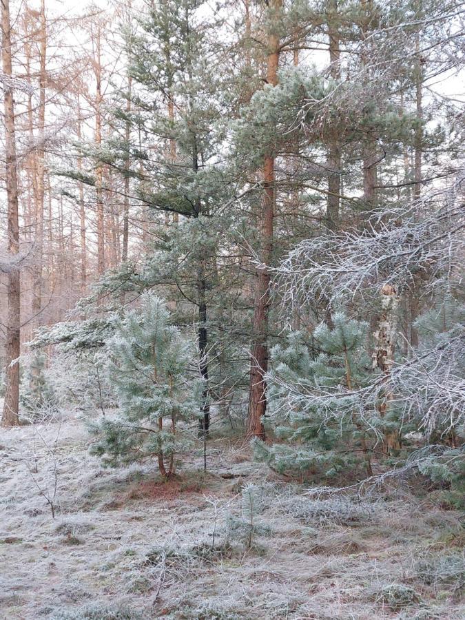 Natuur, Comfort, Rust, Mooie Omgeving Putten Esterno foto
