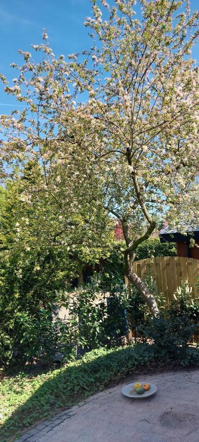 Natuur, Comfort, Rust, Mooie Omgeving Putten Esterno foto